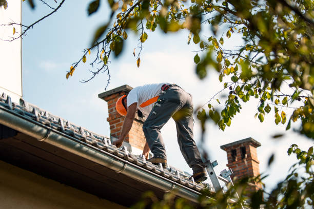 Best Local Roofing Companies  in Union City, MI