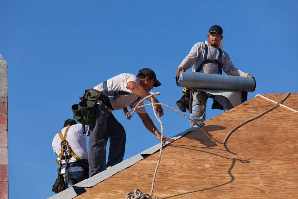 Best Roof Leak Repair  in Union City, MI
