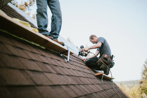 Best Roof Gutter Cleaning  in Union City, MI
